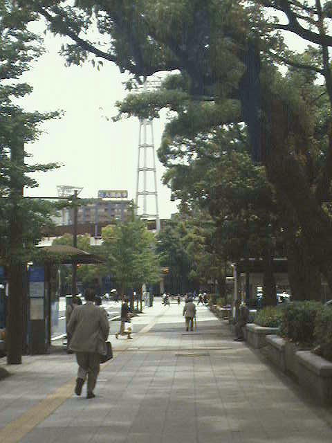 DW_C0222.jpg