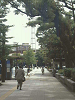 DW_C0222_thumb.png