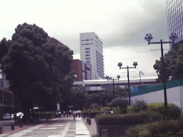 DW_C0223.jpg