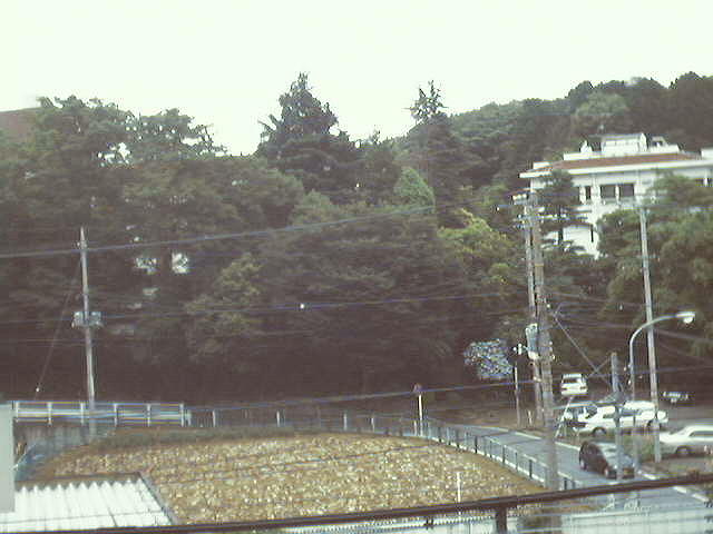 DW_C0227.jpg
