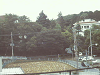 DW_C0227_thumb.png