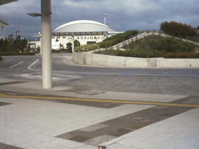 DW_C0231.jpg